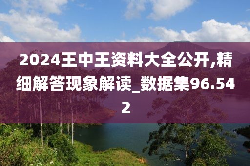 2024王中王資料大全公開,精細(xì)解答現(xiàn)象解讀_數(shù)據(jù)集96.542