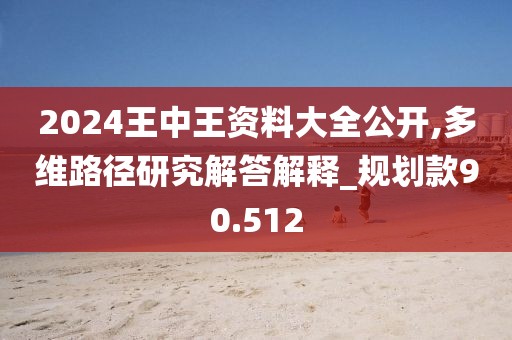 2024王中王資料大全公開,多維路徑研究解答解釋_規(guī)劃款90.512