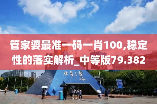 管家婆最準(zhǔn)一碼一肖100,穩(wěn)定性的落實解析_中等版79.382