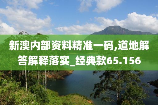 新澳內(nèi)部資料精準一碼,道地解答解釋落實_經(jīng)典款65.156