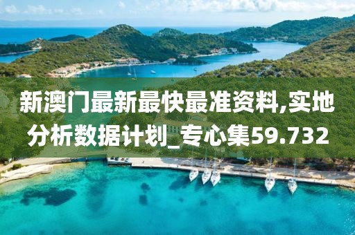 新澳門最新最快最準資料,實地分析數(shù)據計劃_專心集59.732