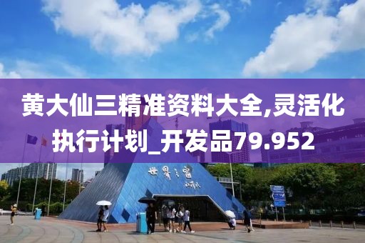 黃大仙三精準資料大全,靈活化執(zhí)行計劃_開發(fā)品79.952