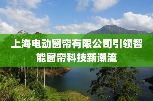 上海電動(dòng)窗簾有限公司引領(lǐng)智能窗簾科技新潮流