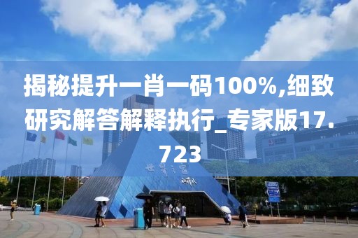 揭秘提升一肖一碼100%,細(xì)致研究解答解釋執(zhí)行_專家版17.723