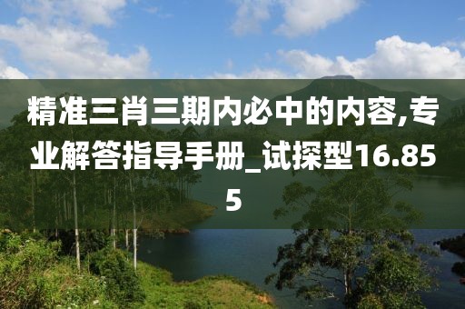 精準(zhǔn)三肖三期內(nèi)必中的內(nèi)容,專業(yè)解答指導(dǎo)手冊(cè)_試探型16.855