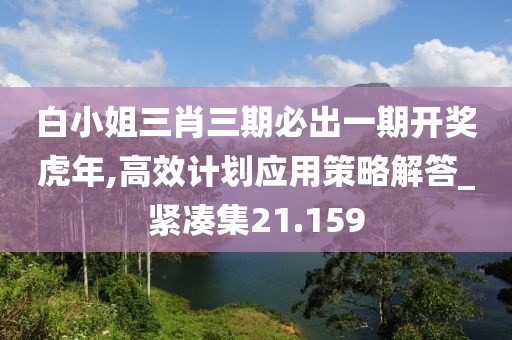 白小姐三肖三期必出一期開獎(jiǎng)虎年,高效計(jì)劃應(yīng)用策略解答_緊湊集21.159