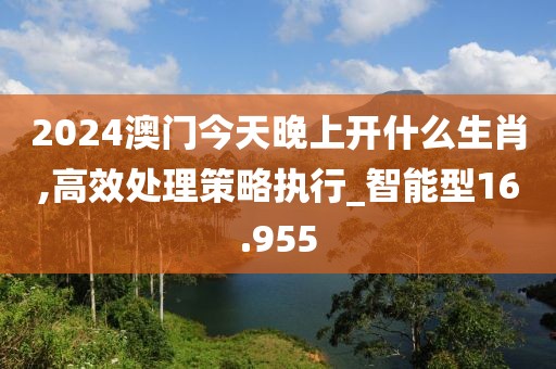 2024澳門(mén)今天晚上開(kāi)什么生肖,高效處理策略執(zhí)行_智能型16.955