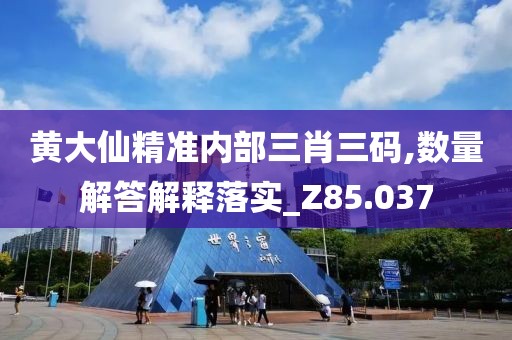 黃大仙精準(zhǔn)內(nèi)部三肖三碼,數(shù)量解答解釋落實(shí)_Z85.037