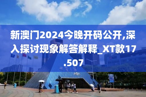 新澳門2024今晚開碼公開,深入探討現(xiàn)象解答解釋_XT款17.507