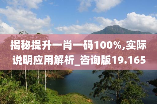 揭秘提升一肖一碼100%,實際說明應用解析_咨詢版19.165