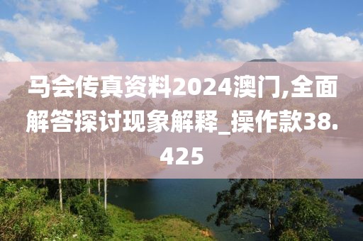 馬會傳真資料2024澳門,全面解答探討現(xiàn)象解釋_操作款38.425