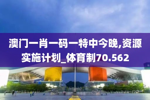澳門一肖一碼一特中今晚,資源實施計劃_體育制70.562