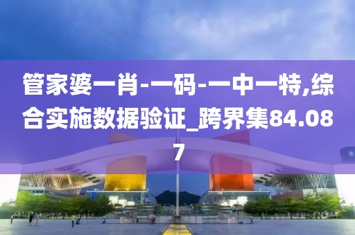 管家婆一肖-一碼-一中一特,綜合實施數據驗證_跨界集84.087