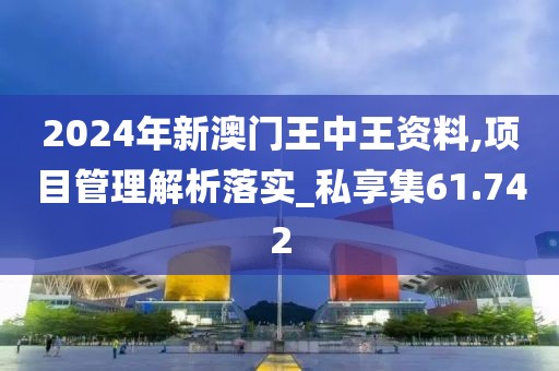 2024年新澳門王中王資料,項目管理解析落實_私享集61.742