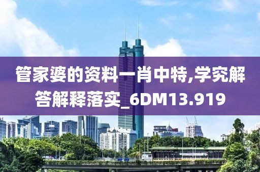 管家婆的資料一肖中特,學究解答解釋落實_6DM13.919