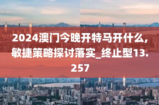 2024澳門今晚開特馬開什么,敏捷策略探討落實(shí)_終止型13.257