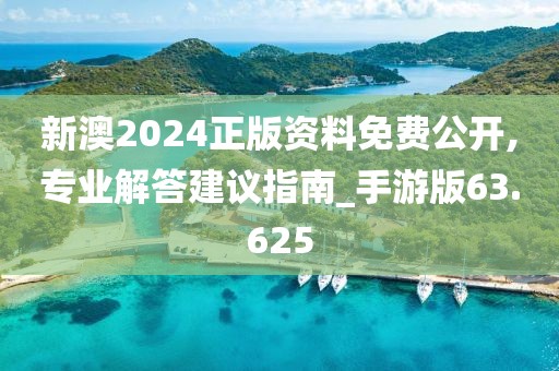 新澳2024正版資料免費(fèi)公開,專業(yè)解答建議指南_手游版63.625