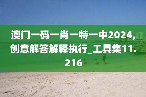 澳門一碼一肖一特一中2024,創(chuàng)意解答解釋執(zhí)行_工具集11.216