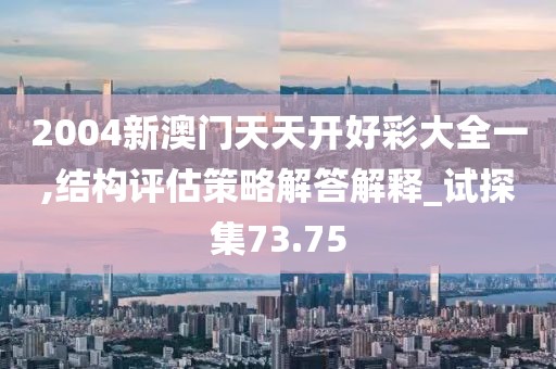 2004新澳門天天開好彩大全一,結(jié)構(gòu)評估策略解答解釋_試探集73.75