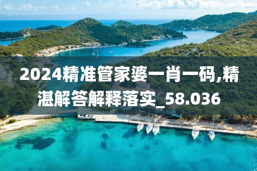 2024精準(zhǔn)管家婆一肖一碼,精湛解答解釋落實(shí)_58.036