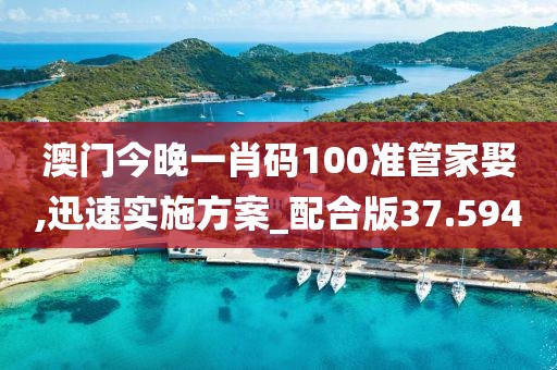 澳門(mén)今晚一肖碼100準(zhǔn)管家娶,迅速實(shí)施方案_配合版37.594
