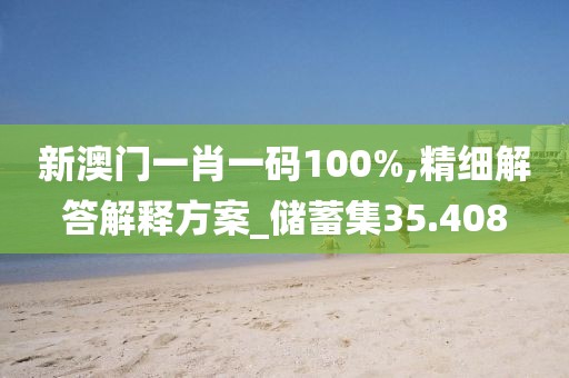 新澳門一肖一碼100%,精細解答解釋方案_儲蓄集35.408