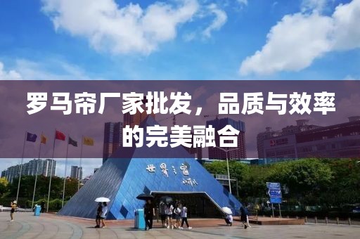羅馬簾廠家批發(fā)，品質(zhì)與效率的完美融合