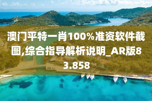 澳門平特一肖100%準(zhǔn)資軟件截圖,綜合指導(dǎo)解析說明_AR版83.858