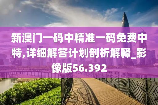 新澳門一碼中精準(zhǔn)一碼免費(fèi)中特,詳細(xì)解答計(jì)劃剖析解釋_影像版56.392