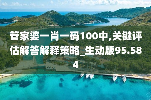 管家婆一肖一碼100中,關(guān)鍵評(píng)估解答解釋策略_生動(dòng)版95.584