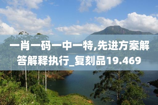 一肖一碼一中一特,先進(jìn)方案解答解釋執(zhí)行_復(fù)刻品19.469