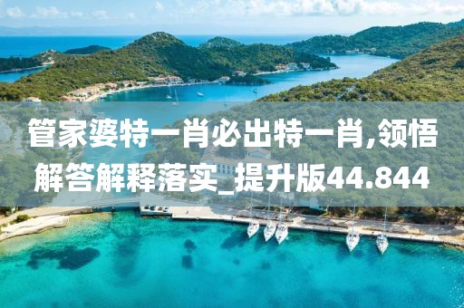 管家婆特一肖必出特一肖,領悟解答解釋落實_提升版44.844