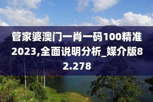 管家婆澳門一肖一碼100精準(zhǔn)2023,全面說明分析_媒介版82.278