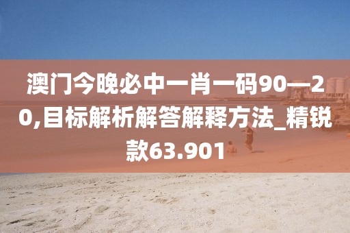 澳門今晚必中一肖一碼90—20,目標解析解答解釋方法_精銳款63.901