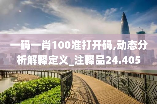 一碼一肖100準打開碼,動態(tài)分析解釋定義_注釋品24.405