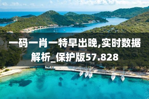 一碼一肖一特早出晚,實(shí)時(shí)數(shù)據(jù)解析_保護(hù)版57.828