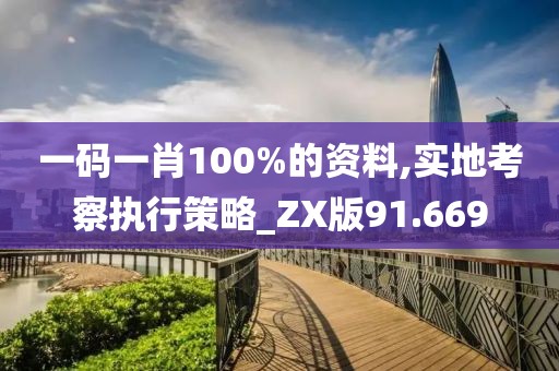 一碼一肖100%的資料,實(shí)地考察執(zhí)行策略_ZX版91.669