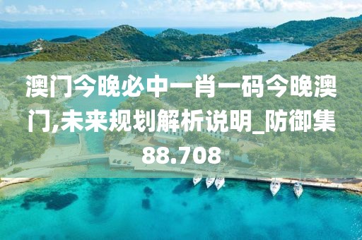 澳門今晚必中一肖一碼今晚澳門,未來規(guī)劃解析說明_防御集88.708
