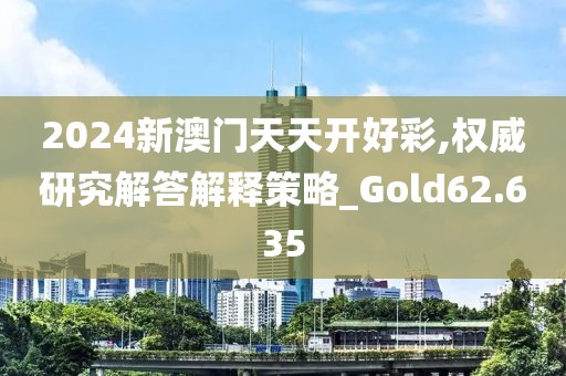 2024新澳門天天開好彩,權(quán)威研究解答解釋策略_Gold62.635