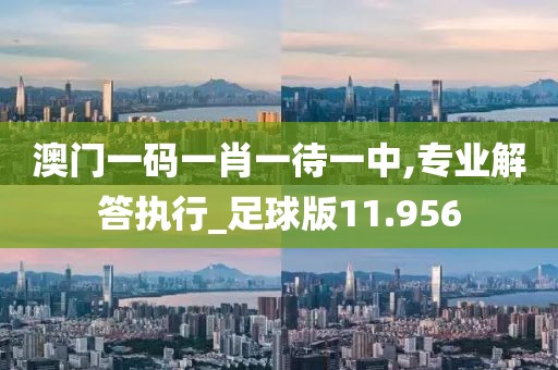 澳門一碼一肖一待一中,專業(yè)解答執(zhí)行_足球版11.956
