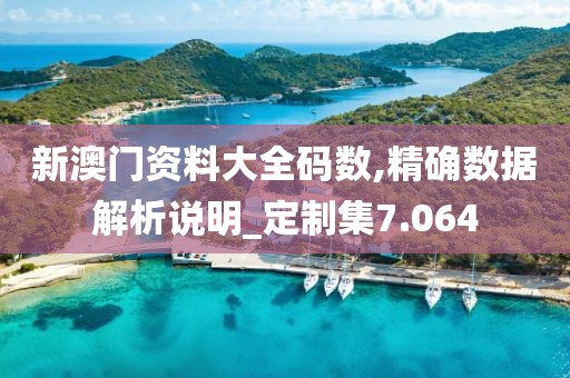 新澳門資料大全碼數,精確數據解析說明_定制集7.064