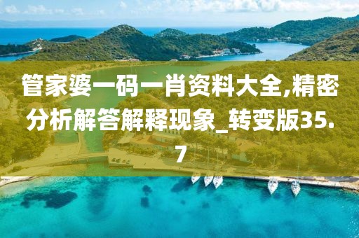 管家婆一碼一肖資料大全,精密分析解答解釋現(xiàn)象_轉(zhuǎn)變版35.7