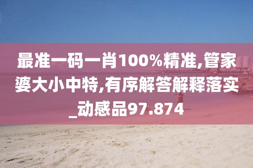 最準(zhǔn)一碼一肖100%精準(zhǔn),管家婆大小中特,有序解答解釋落實_動感品97.874
