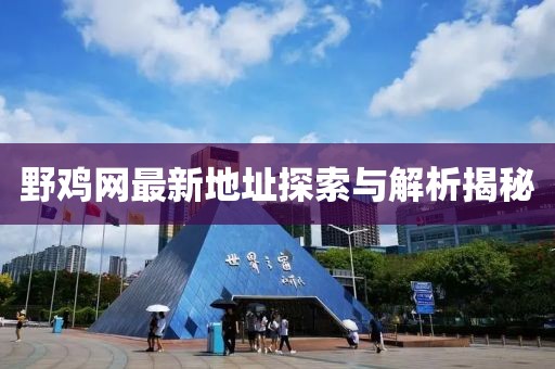 野雞網(wǎng)最新地址探索與解析揭秘