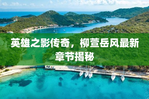 英雄之影傳奇，柳萱岳風(fēng)最新章節(jié)揭秘