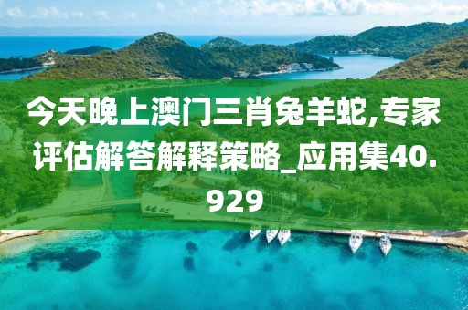 今天晚上澳門三肖兔羊蛇,專家評(píng)估解答解釋策略_應(yīng)用集40.929