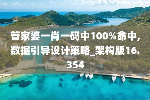 管家婆一肖一碼中100%命中,數(shù)據(jù)引導(dǎo)設(shè)計(jì)策略_架構(gòu)版16.354