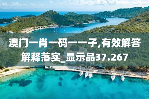 澳門一肖一碼一一子,有效解答解釋落實(shí)_顯示品37.267