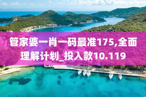 管家婆一肖一碼最準(zhǔn)175,全面理解計劃_投入款10.119