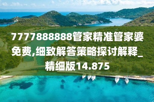 7777888888管家精準(zhǔn)管家婆免費,細致解答策略探討解釋_精細版14.875